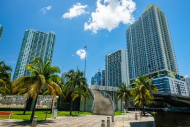 Miami, Florida ABD - 9 Temmuz 2018: Doğal downtown Miami cityscape gökdelenler ve palmiye ağaçları riverwalk boyunca.