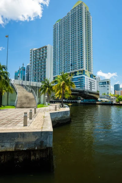 Miami, Florida ABD - 9 Temmuz 2018: Doğal downtown Miami cityscape gökdelenler ve palmiye ağaçları riverwalk boyunca.