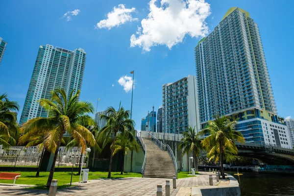Miami, Florida ABD - 9 Temmuz 2018: Doğal downtown Miami cityscape gökdelenler ve palmiye ağaçları riverwalk boyunca.