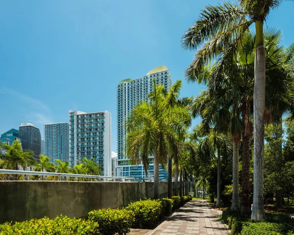 Miami Florida Estados Unidos Julio 2018 Paisaje Urbano Escénico Centro — Foto de Stock