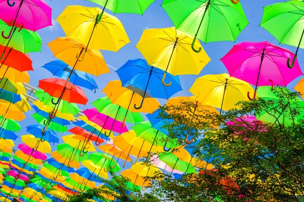 Bela Exibição Guarda Chuvas Coloridos Pendurados Uma Praça Livre Miami — Fotografia de Stock