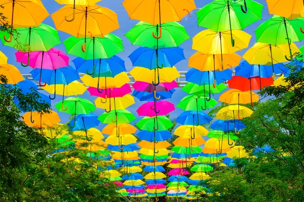 Güzel görüntü renkli asılı şemsiye Miami'de açık bir Plaza.