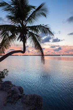 Popüler Florida Keys günbatımı koyunda boyunca doğal görünümünü.