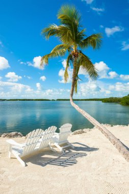 Popüler Florida Keys Körfez boyunca doğal görünümünü.