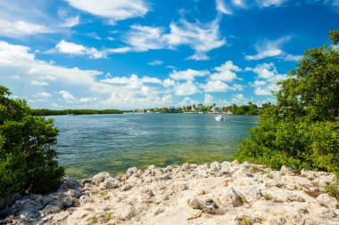 Doğal görünümünü tarafından normal hızda tekne ile bir su yolu boyunca popüler Florida Keys.