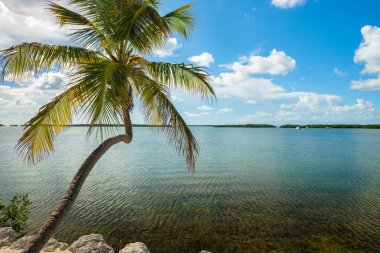 Popüler Florida Keys Körfez boyunca doğal görünümünü.