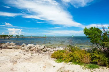 Popüler Florida Keys bayside boyunca doğal görünümünü.