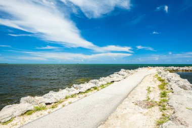 Popüler Florida Keys bayside boyunca doğal görünümünü.