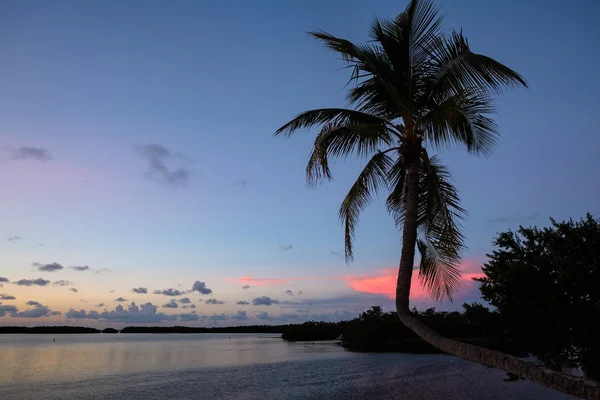 Schilderachtig Uitzicht Populaire Florida Keys Langs Baai Bij Zonsondergang — Stockfoto