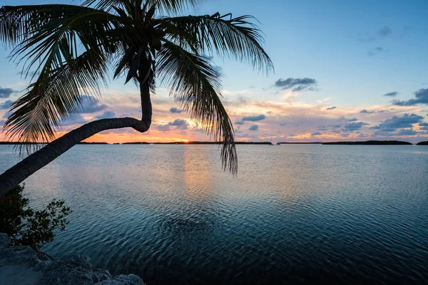 Vista Panorâmica Das Populares Florida Keys Longo Baía Pôr Sol — Fotografia de Stock