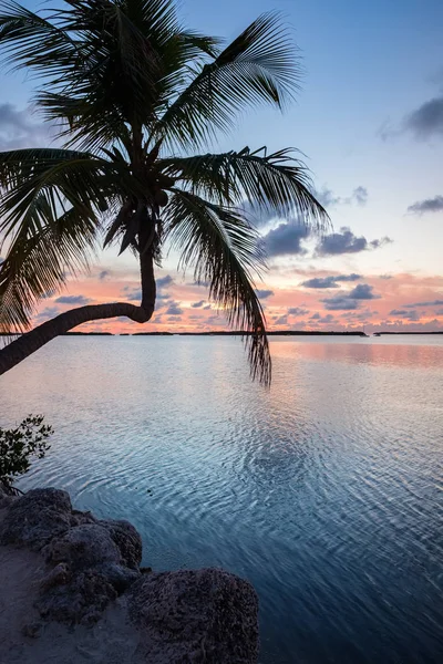 在日落时分 佛罗里达的热门钥匙沿着海湾的美景 — 图库照片