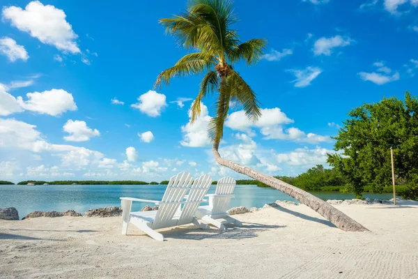 Malerischer Blick Auf Die Beliebten Florida Keys Entlang Der Bucht — Stockfoto
