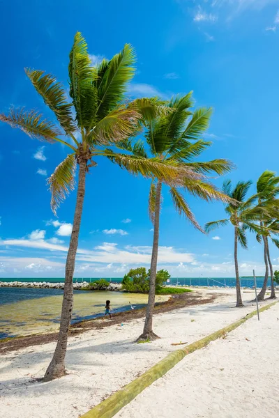 Festői Kilátás Nyílik Népszerű Florida Keys Mentén Bayside — Stock Fotó