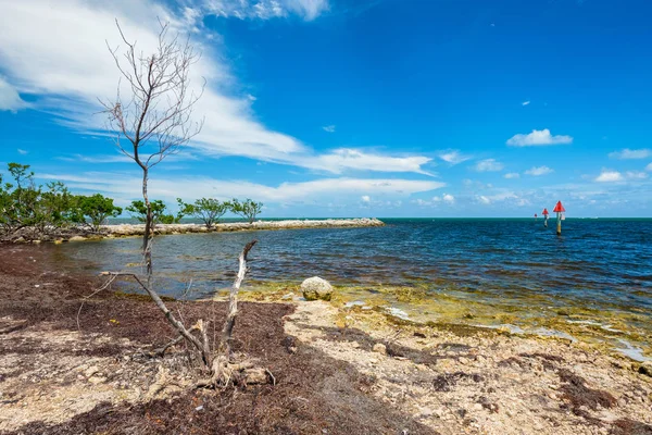 Malowniczy Widok Popularne Florida Keys Wzdłuż Bayside — Zdjęcie stockowe