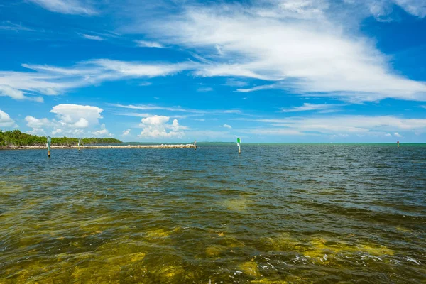 Popüler Florida Keys bayside boyunca doğal görünümünü.