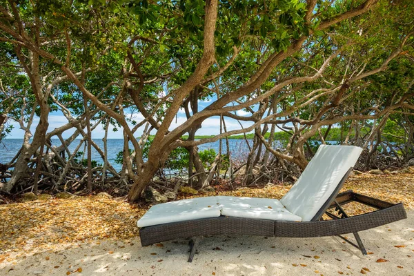 Vista Panoramica Delle Famose Florida Keys Lungo Baia Con Alberi — Foto Stock