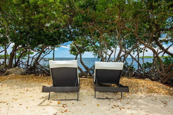 Malebný Pohled Populární Florida Keys Podél Bayside Mangrovníky Lehátka — Stock fotografie