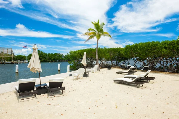 Schilderachtig Uitzicht Populaire Florida Keys Langs Bayside Met Mangrovebomen Lounge — Stockfoto