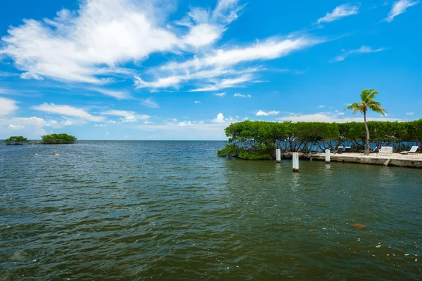 Vista Panoramica Delle Famose Florida Keys Lungo Baia Con Alberi — Foto Stock