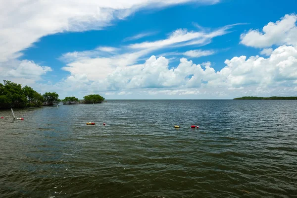 Popüler Florida Keys Bayside Boyunca Doğal Görünümünü — Stok fotoğraf