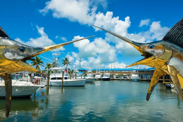 Islamorada Florida Usa September 2018 Whale Harbor Marina Ett Populärt — Stockfoto