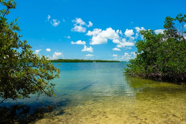 Vista Panoramica Delle Famose Florida Keys Con Alberi Mangrovie Lungo — Foto Stock
