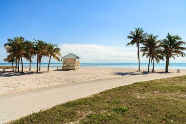 güzel crandon park beach Miami anahtar biscayne içinde yer alan.