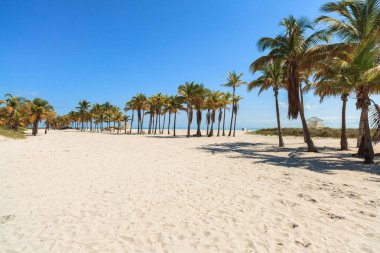 güzel crandon park beach Miami anahtar biscayne içinde yer alan.