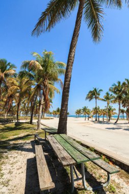 güzel crandon park beach Miami anahtar biscayne içinde yer alan.