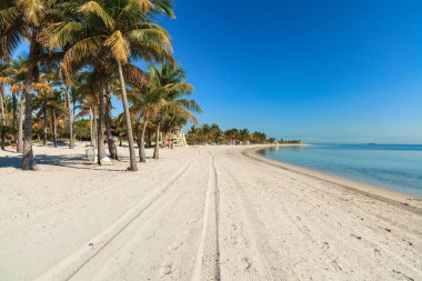 güzel crandon park beach Miami anahtar biscayne içinde yer alan.