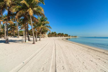 Beautiful Crandon Park Beach located in Key Biscayne in Miami. clipart