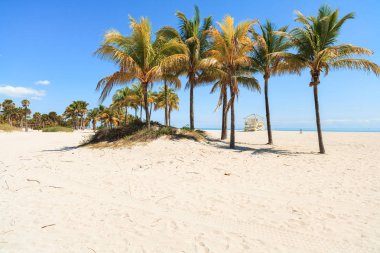 güzel crandon park beach Miami anahtar biscayne içinde yer alan.