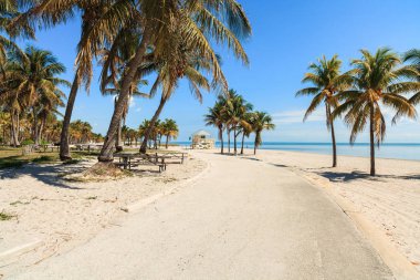 güzel crandon park beach Miami anahtar biscayne içinde yer alan.