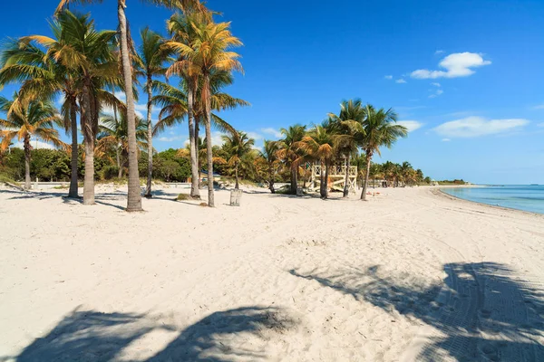 Vackra Crandon Park Beach Ligger Key Biscayne Miami — Stockfoto