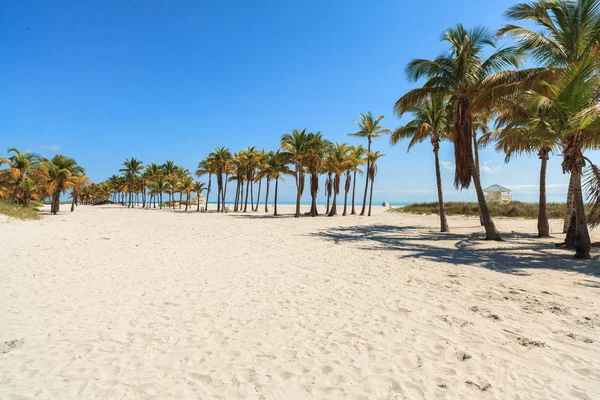 Praia Crandon Park Bonita Localizada Key Biscayne Miami — Fotografia de Stock