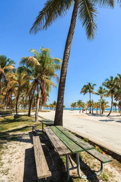 Vackra Crandon Park Beach Ligger Key Biscayne Miami — Stockfoto