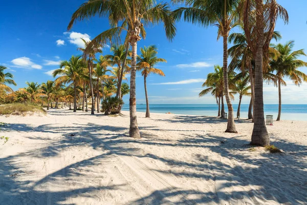 Praia Crandon Park Bonita Localizada Key Biscayne Miami — Fotografia de Stock