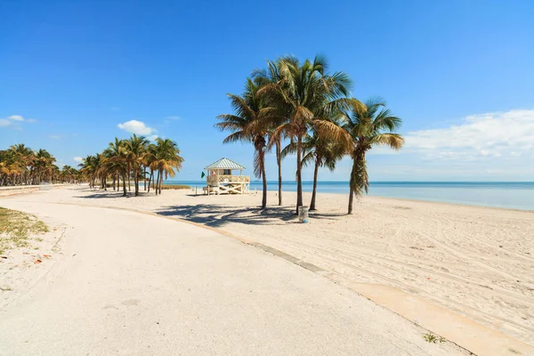 Praia Crandon Park Bonita Localizada Key Biscayne Miami — Fotografia de Stock