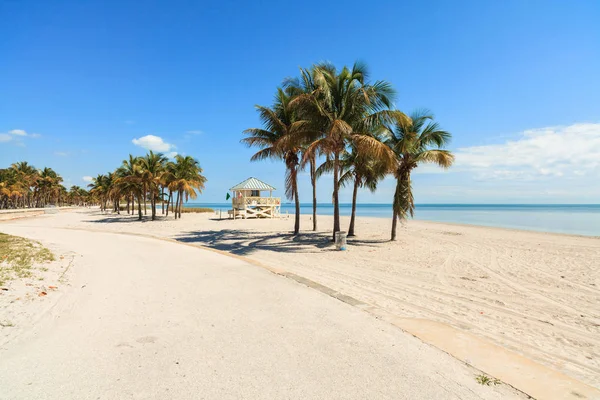 Belle Crandon Park Beach Situé Key Biscayne Miami — Photo