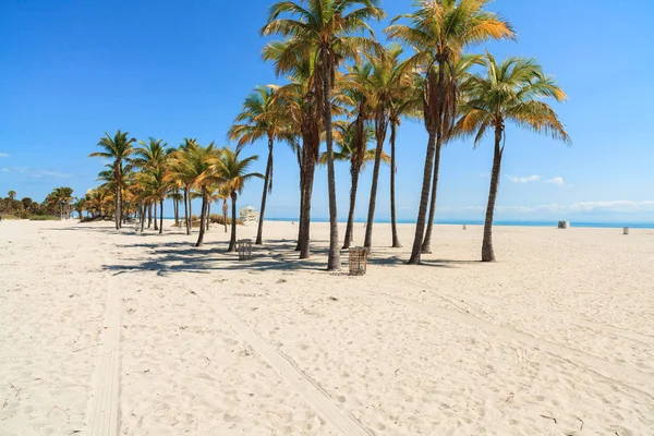 美丽克兰登公园海滩位于迈阿密比斯坎 — 图库照片