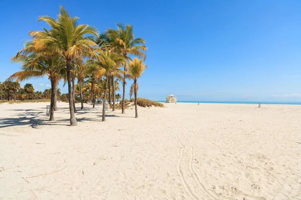 güzel crandon park beach Miami anahtar biscayne içinde yer alan.