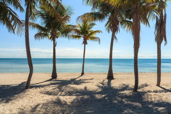 Schöner Crandon Park Strand Key Biscayne Miami — Stockfoto