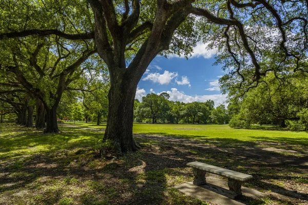 在新奥尔良 路易斯安那州的流行奥杜邦公园 — 图库照片