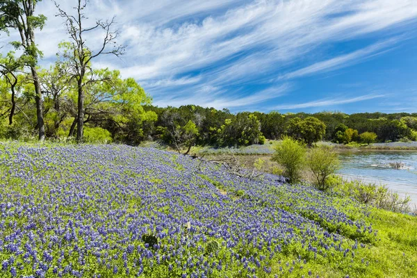 Beautiful Bluebonnets Lake Texas Hill Country — Stock Photo, Image