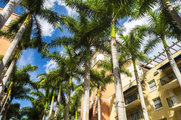 Vista Del Paisaje Urbano Comunidad Estilo Mediterráneo Coral Gables Situada — Foto de Stock