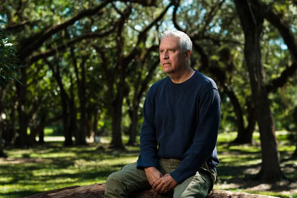 Knappe Middelbare Leeftijd Man Buiten Portret Een Park — Stockfoto