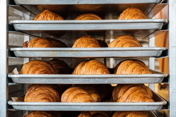 Dienbladen Van Versgebakken Croissants Een Bakkerij — Stockfoto