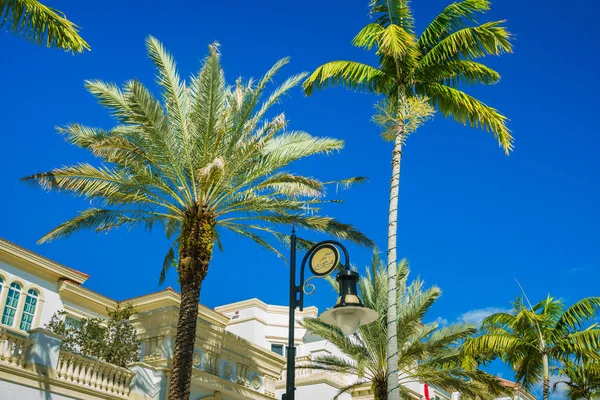 Malebné Páté Avenue Panoráma Populární Centra Okresu Naples Florida — Stock fotografie