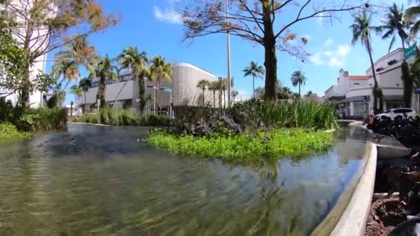 Miami Beach Florida Usa February 2019 Time Lapse Video Popular — Stock Video