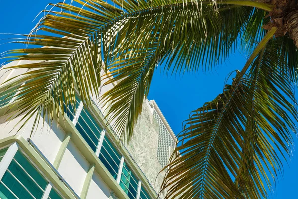 Art Deco w Miami Beach — Zdjęcie stockowe